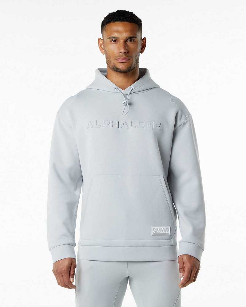 Grey Men\'s Alphalete ELMTS Hoodie | UAE-286039