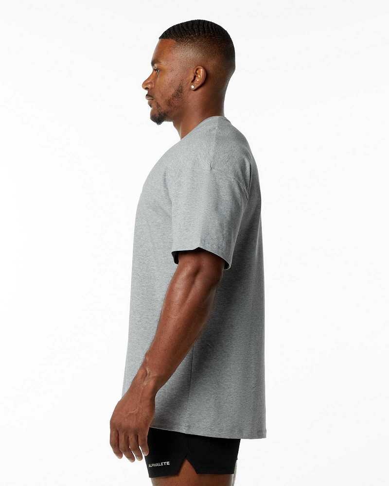 Grey Men's Alphalete Emblem Short Sleeve Shirts | UAE-752069