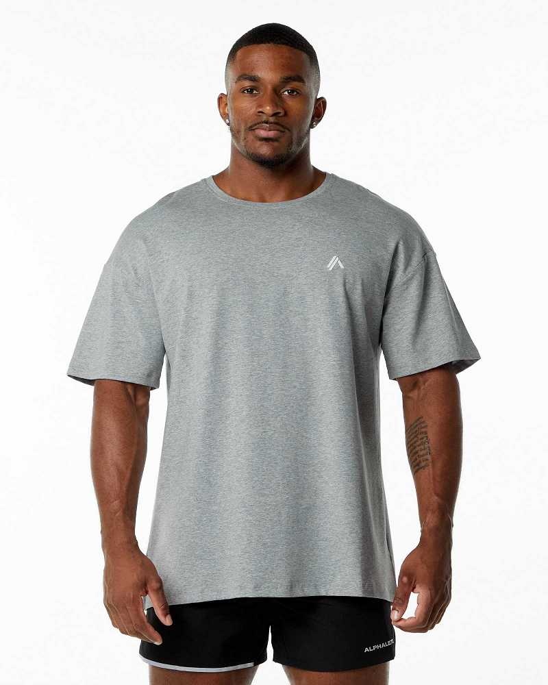 Grey Men\'s Alphalete Emblem Short Sleeve Shirts | UAE-752069