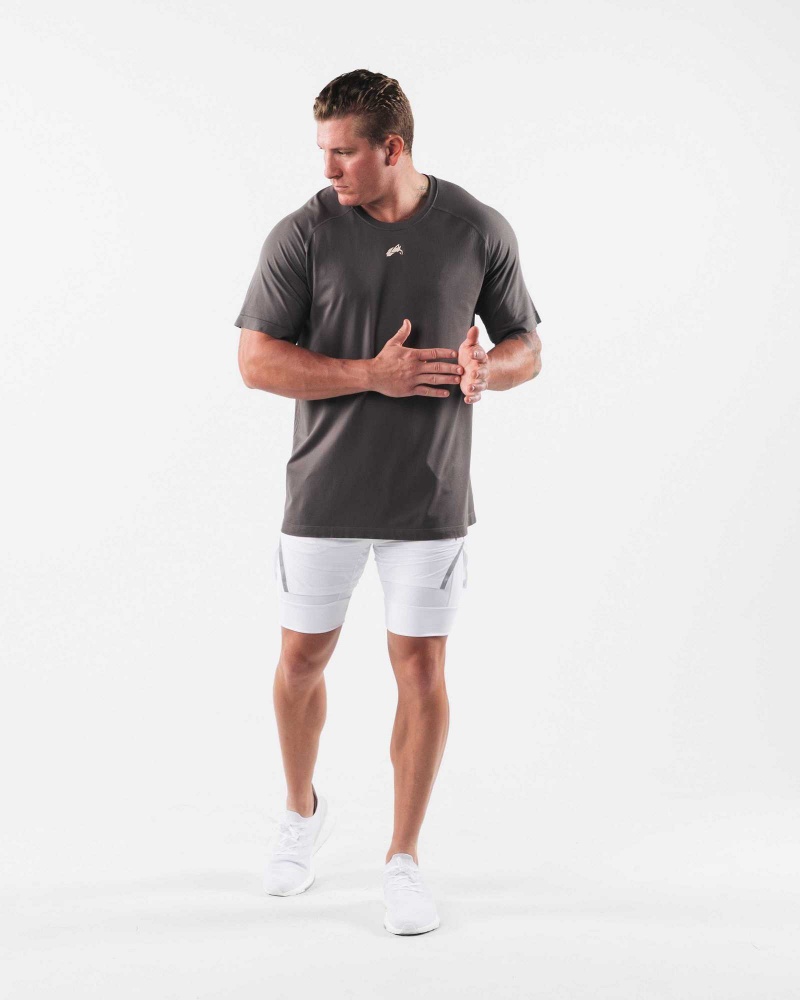 Grey Men's Alphalete Wolf Head Airtech Short Sleeve Shirts | UAE-254638