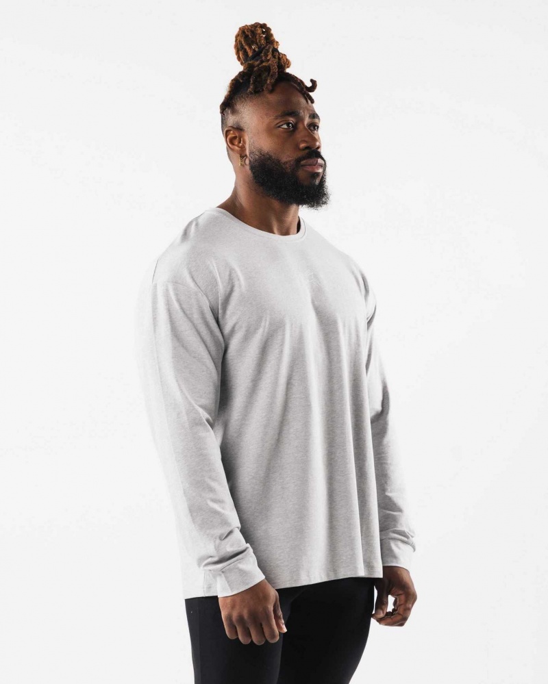 Grey Men's Alphalete Wolf Head LS Long Sleeve Shirts | UAE-861592