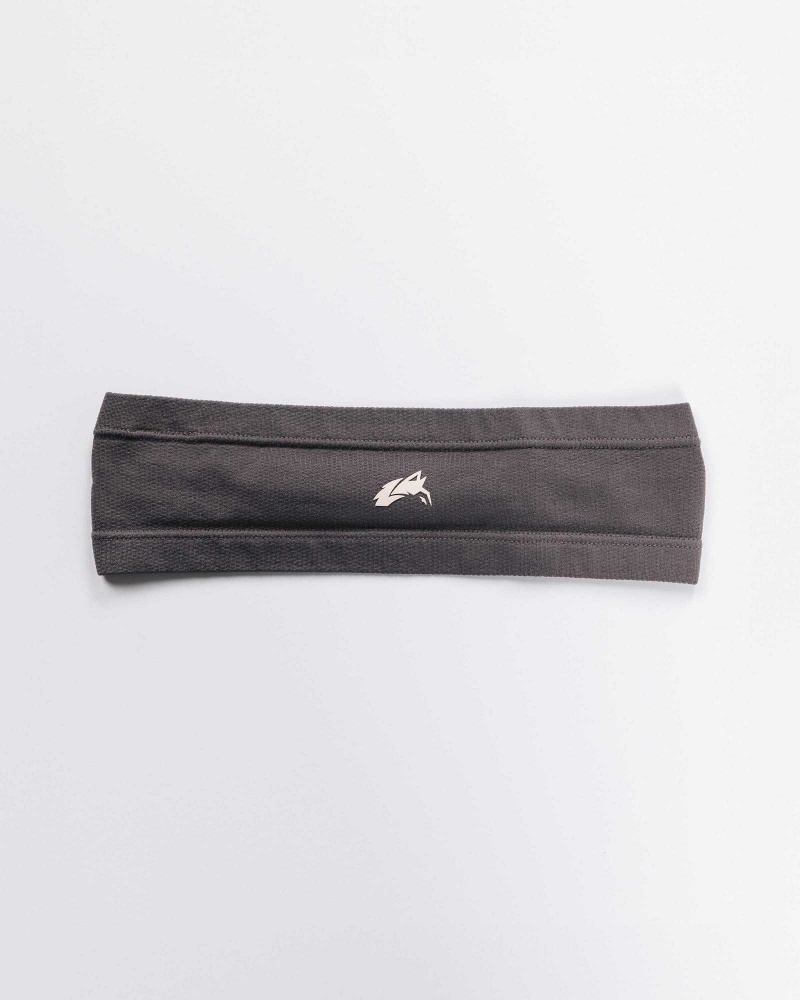 Grey Unisex Alphalete Wolf Head Airtech Headband | UAE-806473