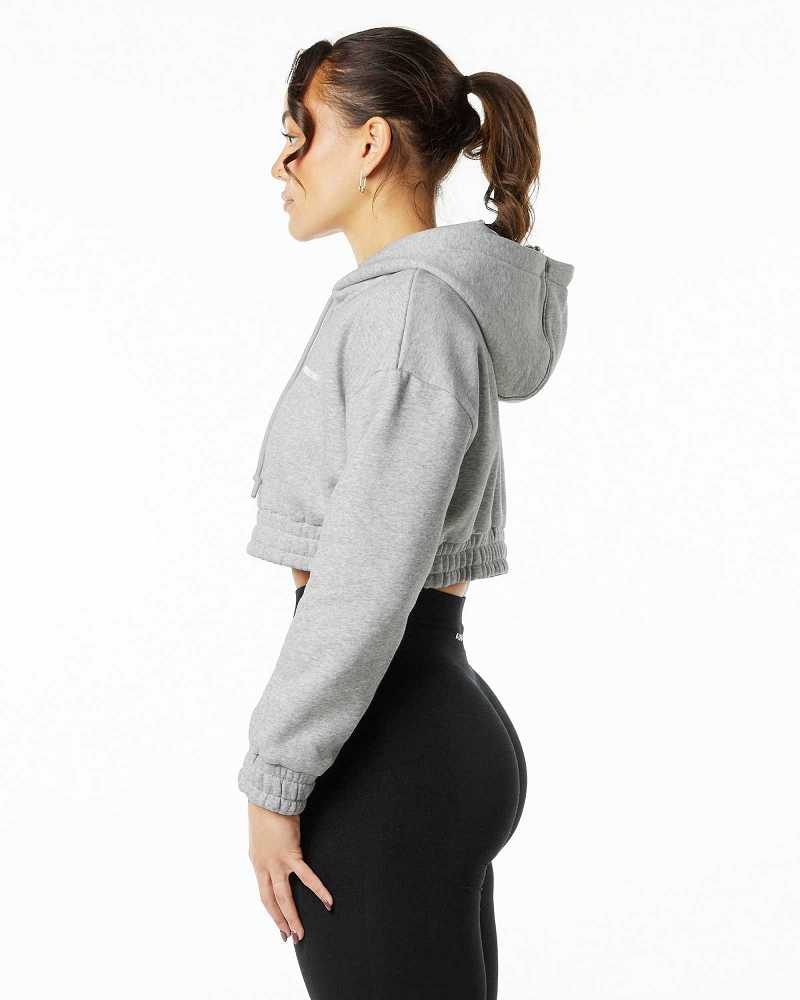 Grey Women's Alphalete Classic Capital Crop Hoodie | UAE-365024