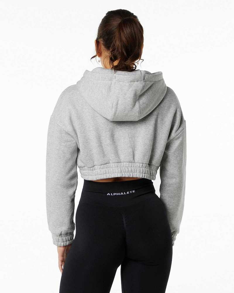 Grey Women's Alphalete Classic Capital Crop Hoodie | UAE-365024