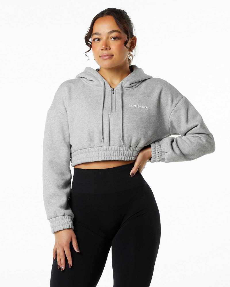 Grey Women\'s Alphalete Classic Capital Crop Hoodie | UAE-365024