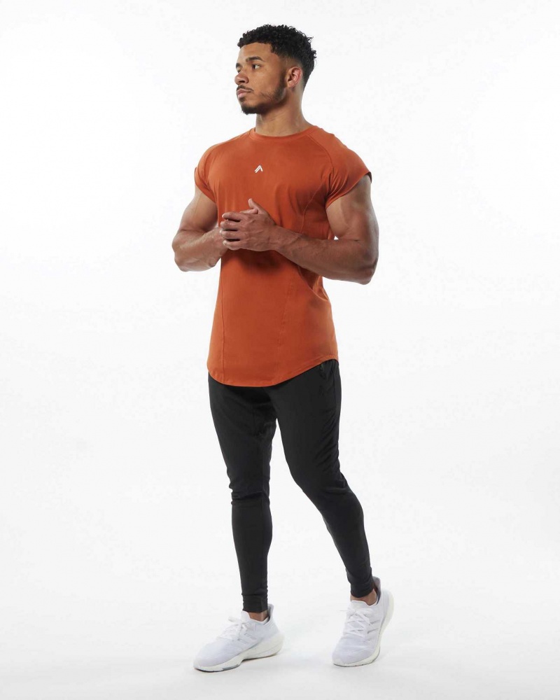 Orange Men's Alphalete Velocity Tanks | UAE-706349