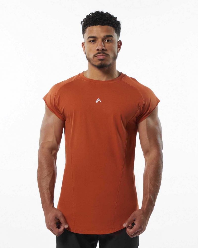 Orange Men\'s Alphalete Velocity Tanks | UAE-706349