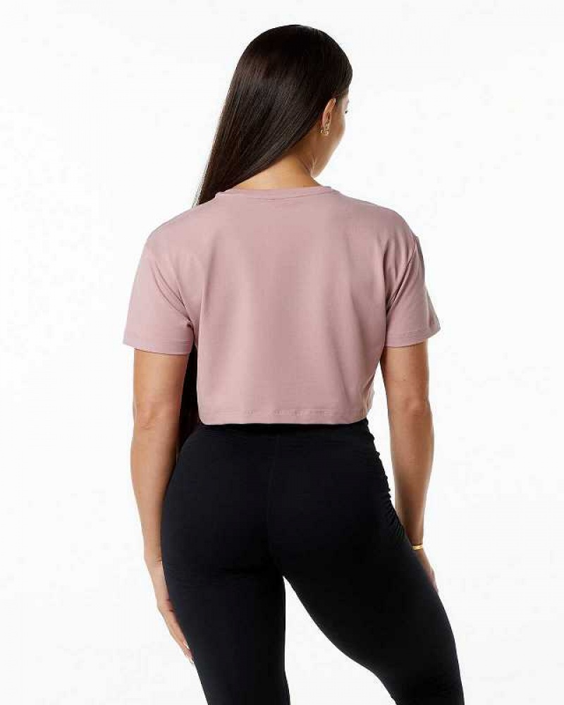 Pink Women's Alphalete Dynasty Crop Short Sleeve Shirts | UAE-042315