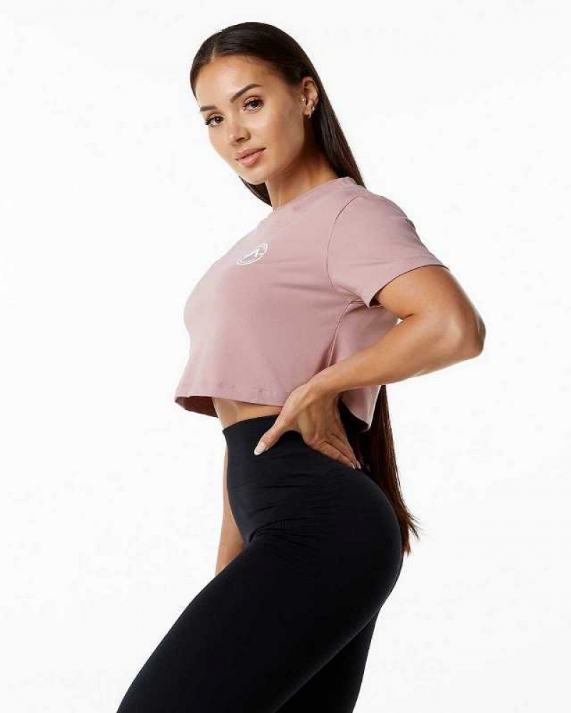 Pink Women's Alphalete Dynasty Crop Short Sleeve Shirts | UAE-042315