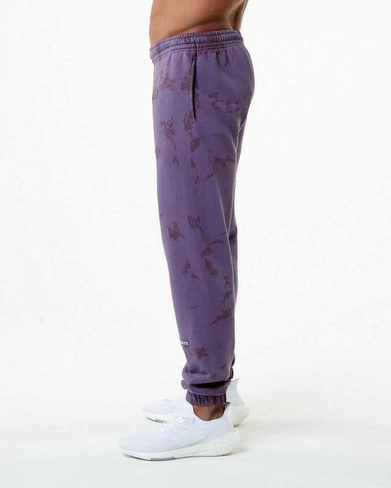 Purple Men's Alphalete HCTS Jogger | UAE-547026