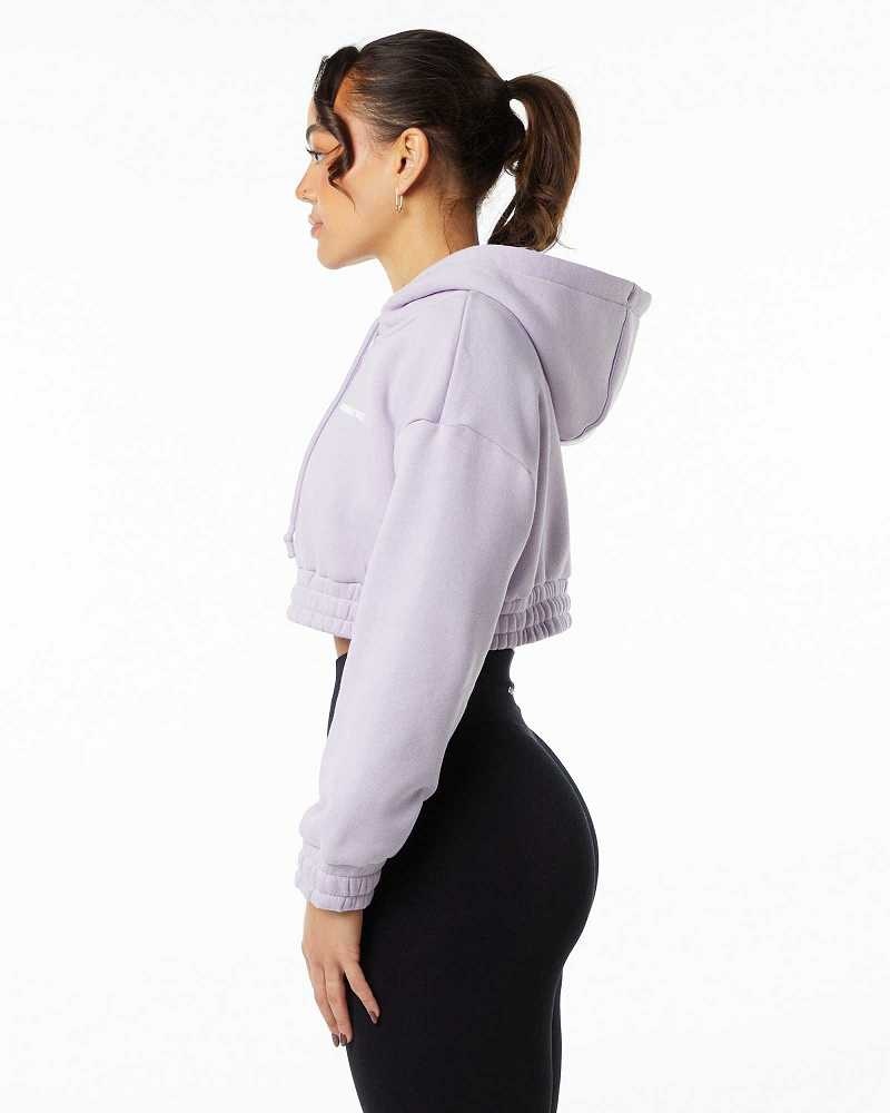 Purple Women's Alphalete Classic Capital Crop Hoodie | UAE-574836