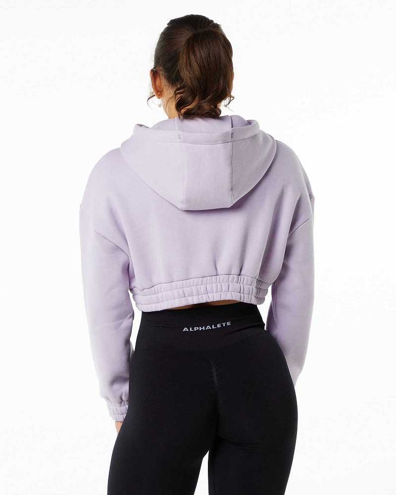 Purple Women's Alphalete Classic Capital Crop Hoodie | UAE-574836