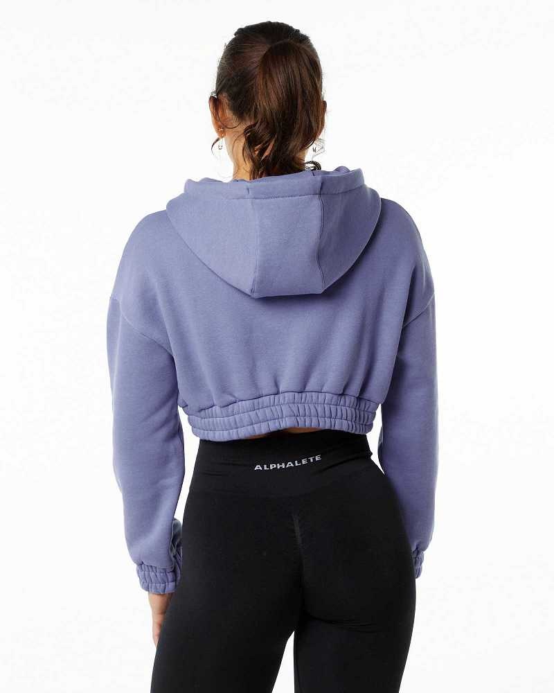 Purple Women's Alphalete Classic Capital Crop Hoodie | UAE-692184