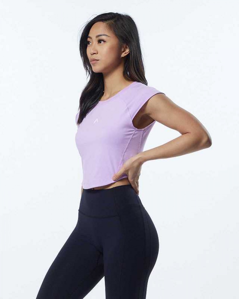 Purple Women's Alphalete Velocity Crop Short Sleeve Shirts | UAE-382796