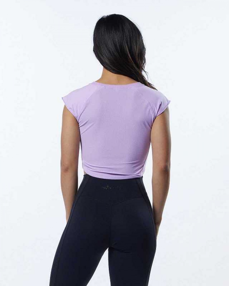 Purple Women's Alphalete Velocity Crop Short Sleeve Shirts | UAE-382796