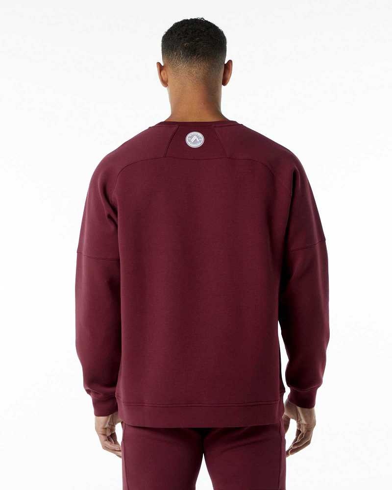 Red Men's Alphalete ELMTS Crewneck Sweater | UAE-736105