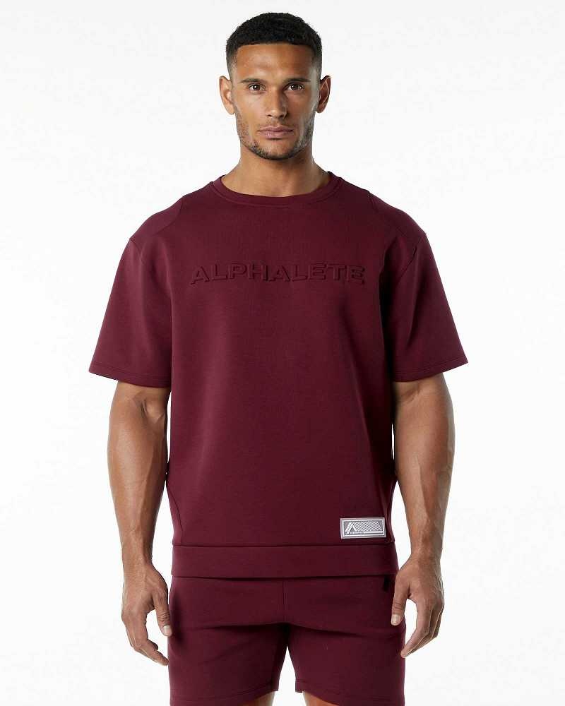 Red Men\'s Alphalete ELMTS Half Sleeve Pullover | UAE-106428