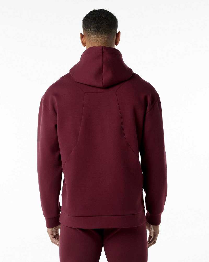 Red Men's Alphalete ELMTS Hoodie | UAE-158290