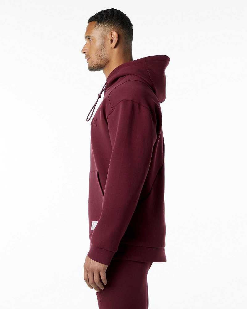 Red Men's Alphalete ELMTS Hoodie | UAE-158290