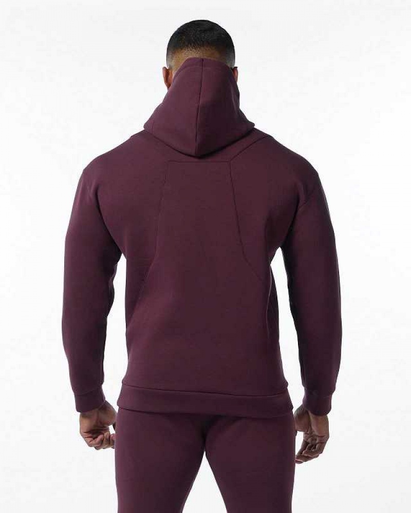 Red Men's Alphalete ELMTS Hoodie | UAE-539061