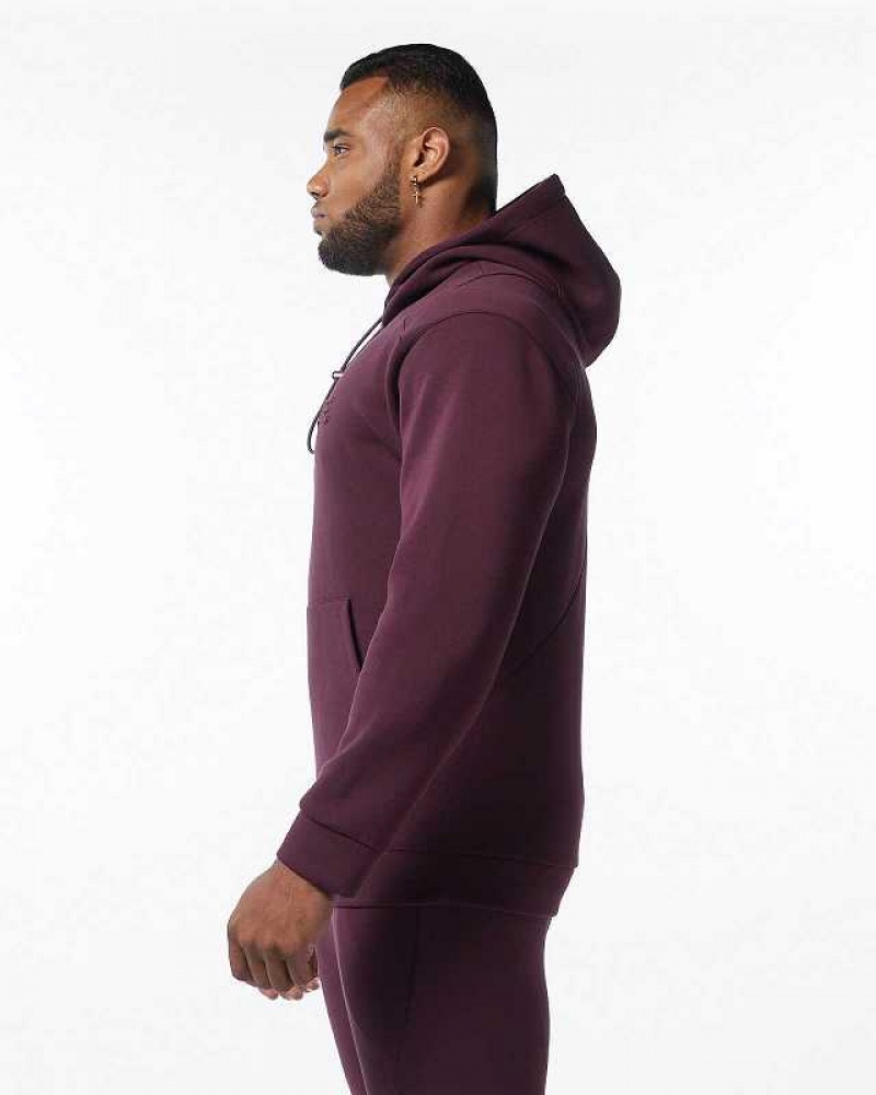 Red Men's Alphalete ELMTS Hoodie | UAE-539061