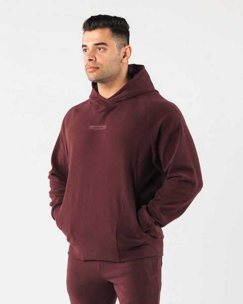 Red Men's Alphalete Identity Pro Hoodie | UAE-695148