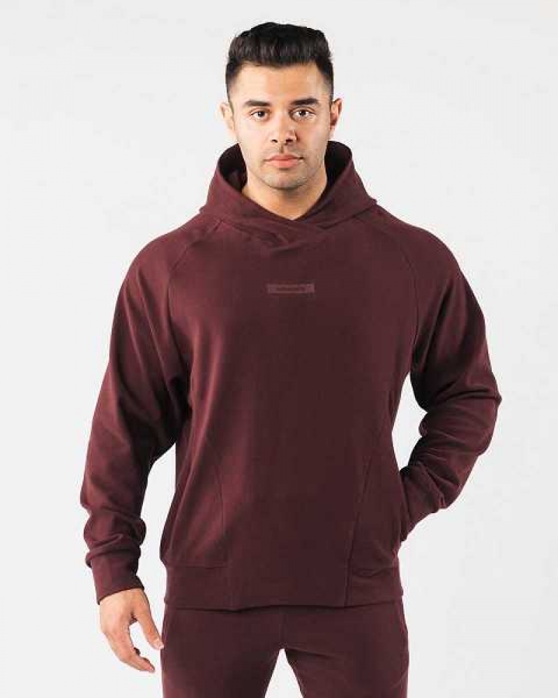 Red Men\'s Alphalete Identity Pro Hoodie | UAE-695148