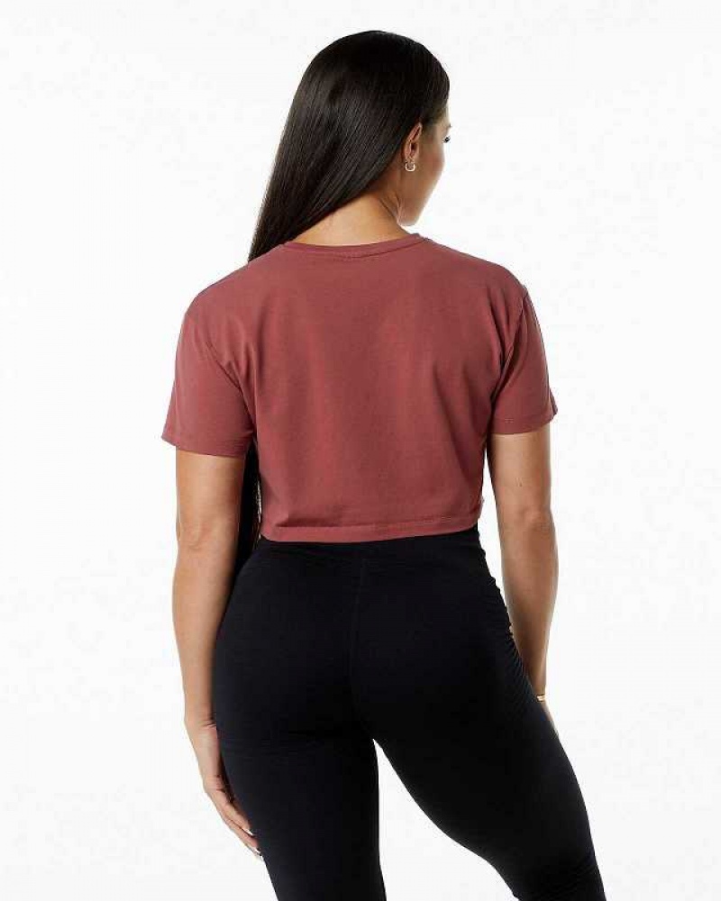 Red Women's Alphalete Dynasty Crop Short Sleeve Shirts | UAE-145286