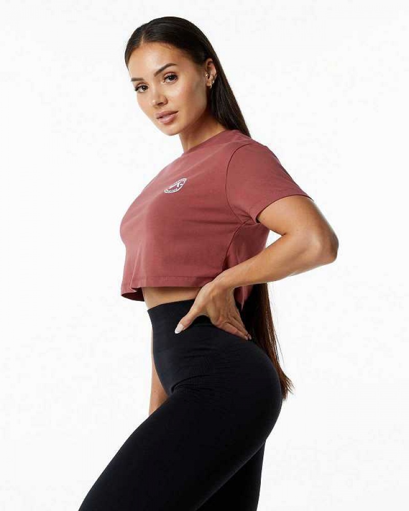 Red Women's Alphalete Dynasty Crop Short Sleeve Shirts | UAE-145286