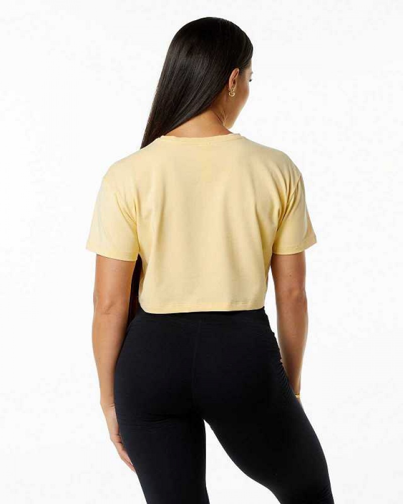 Yellow Women's Alphalete Dynasty Crop Short Sleeve Shirts | UAE-608953