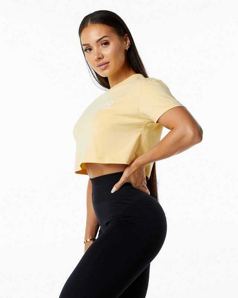 Yellow Women's Alphalete Dynasty Crop Short Sleeve Shirts | UAE-608953